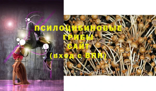 соль ск Волосово