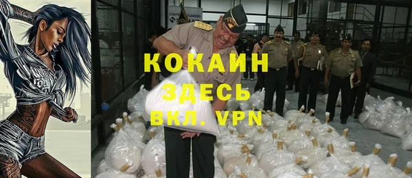 соль ск Волосово