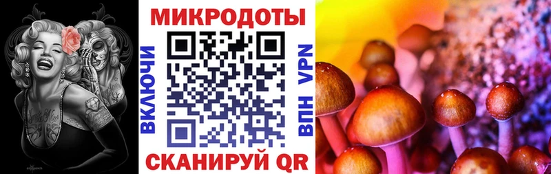 наркота  Мурманск  мориарти наркотические препараты  Галлюциногенные грибы Magic Shrooms 